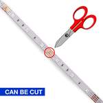 LED Strip Light With Remote Control | Colored Lights for Rooms